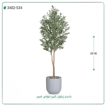 صورة مصغرة 6