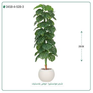 صورة مصغرة 7