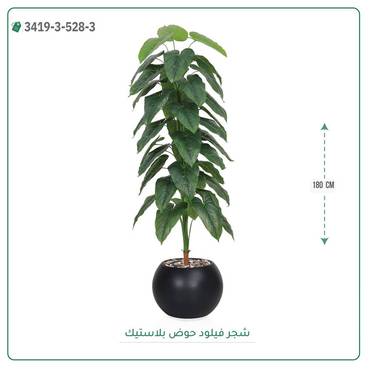 صورة مصغرة 1