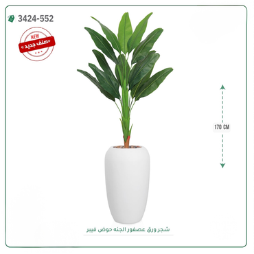 صورة مصغرة 3