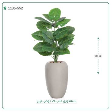 صورة مصغرة 2