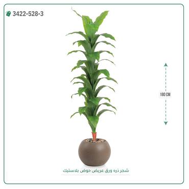 صورة مصغرة 10