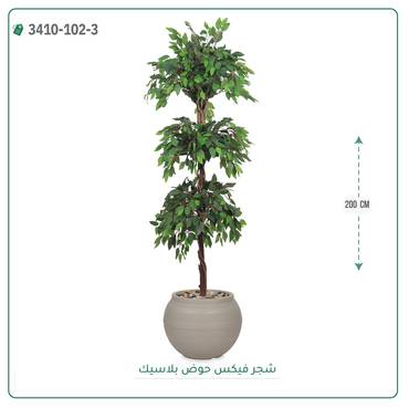 صورة مصغرة 3