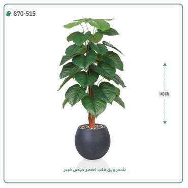 صورة مصغرة 6