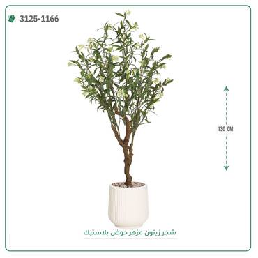 صورة مصغرة 6