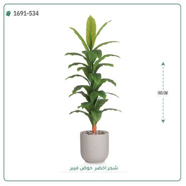 صورة مصغرة 8