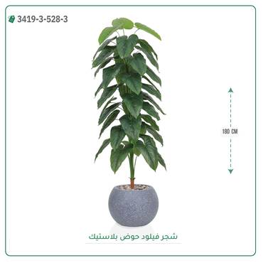 صورة مصغرة 6