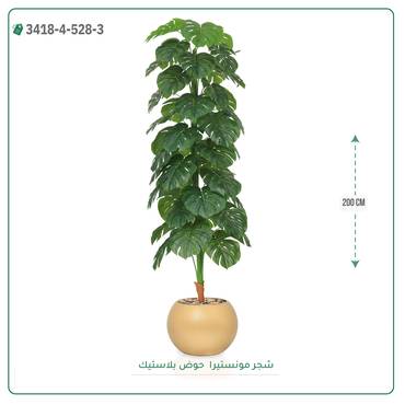 صورة مصغرة 4