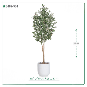 صورة مصغرة 7