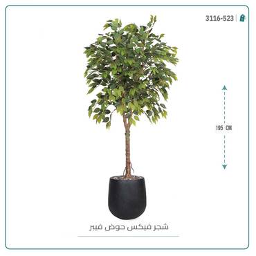 صورة مصغرة 4