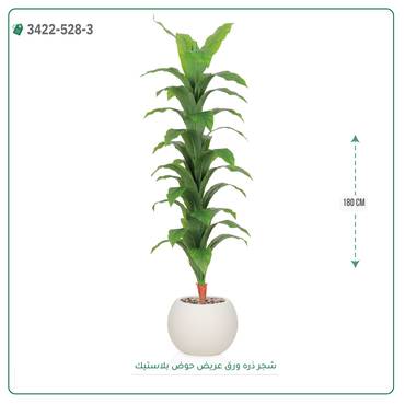 صورة مصغرة 6