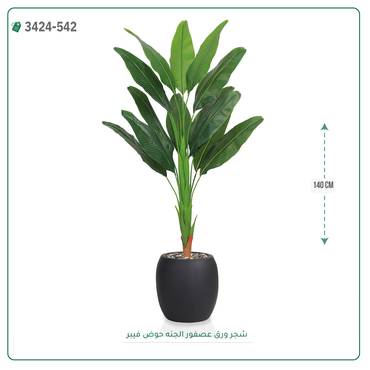 صورة مصغرة 2