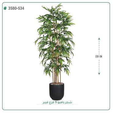 صورة مصغرة 3