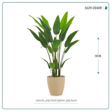 صورة مصغرة 3