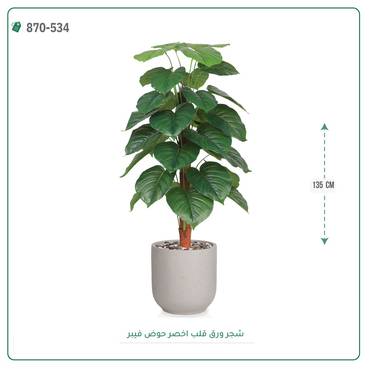 صورة مصغرة 4
