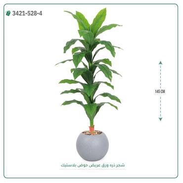 صورة مصغرة 7