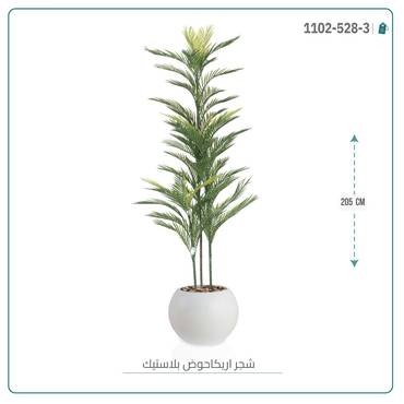 صورة مصغرة 8