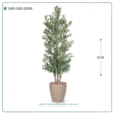 صورة مصغرة 3