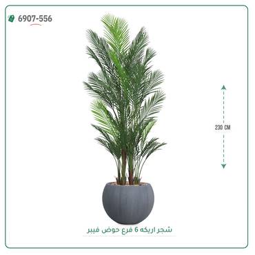 صورة مصغرة 5