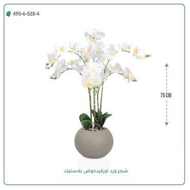 صورة مصغرة 3