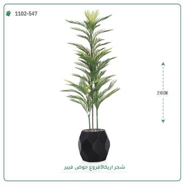 صورة مصغرة 6