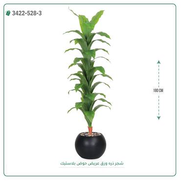 صورة مصغرة 3