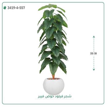 صورة مصغرة 8