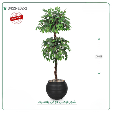 صورة مصغرة 2