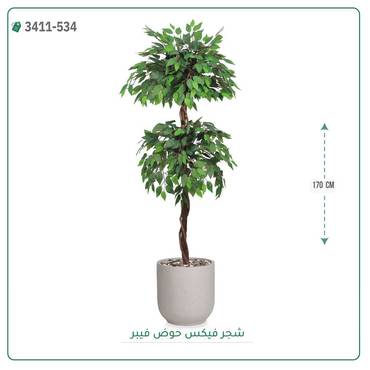 صورة مصغرة 1