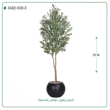 صورة مصغرة 11