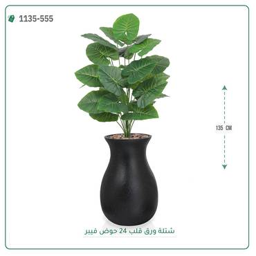 صورة مصغرة 3