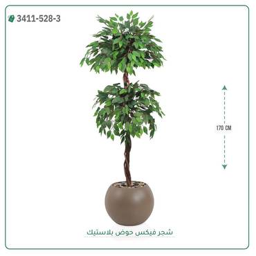 صورة مصغرة 1