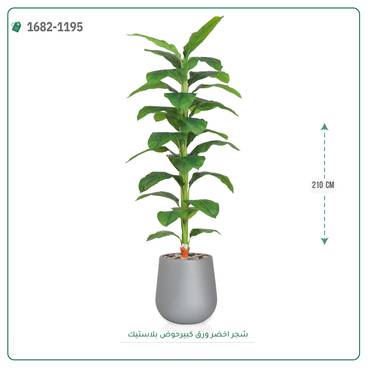 صورة مصغرة 5