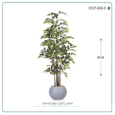 صورة مصغرة 4