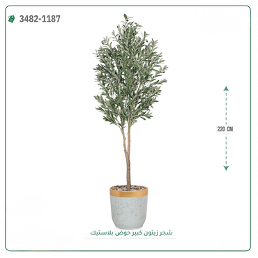 صورة مصغرة 3