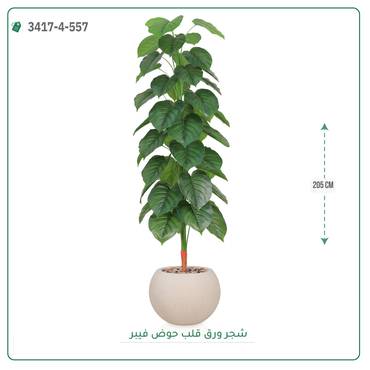 صورة مصغرة 3