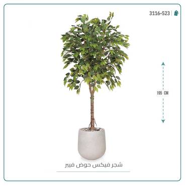 صورة مصغرة 6
