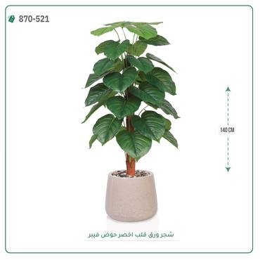 صورة مصغرة 4