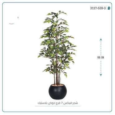 صورة مصغرة 3