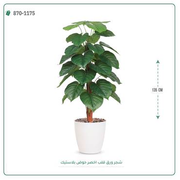 صورة مصغرة 3