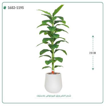 صورة مصغرة 4