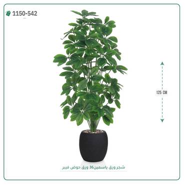 صورة مصغرة 3