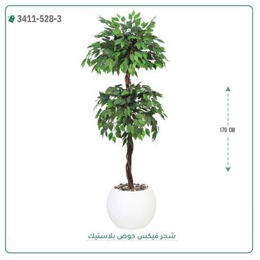 صورة مصغرة 6