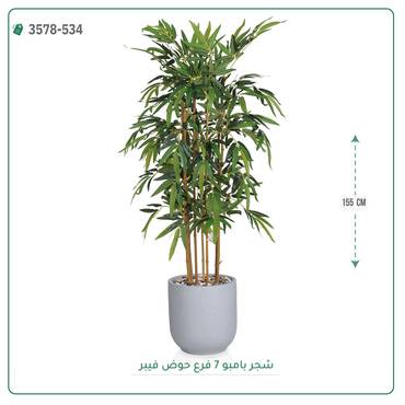 صورة مصغرة 6