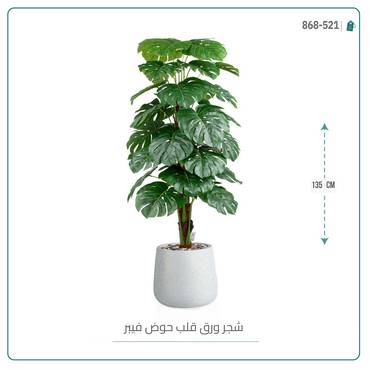 صورة مصغرة 7