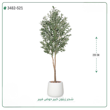 صورة مصغرة 4