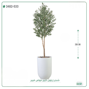 صورة مصغرة 4
