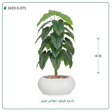 صورة مصغرة 3