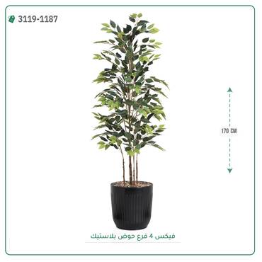 صورة مصغرة 4