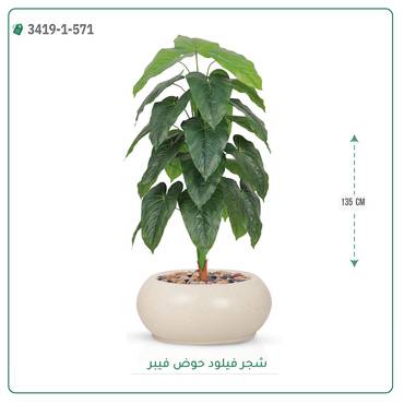 صورة مصغرة 5